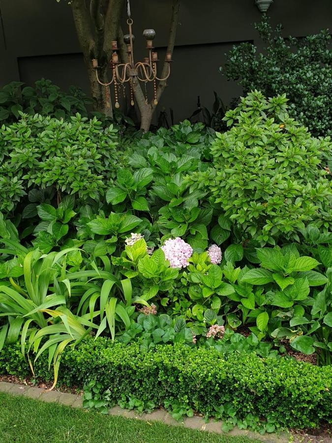 Dunkeld Manor Hotel Johannesburg Exterior photo